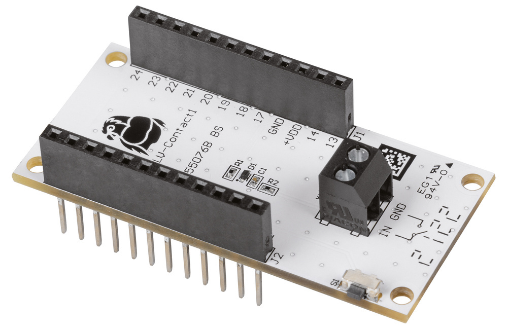 elv-am-ci1.jpg